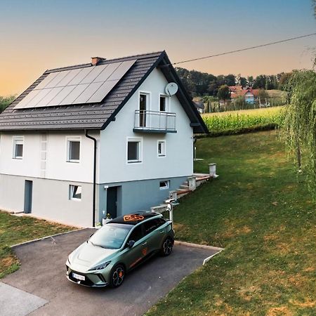 Ferienhaus Treissmann An Der Weinstrasse ロイトシャッハ エクステリア 写真