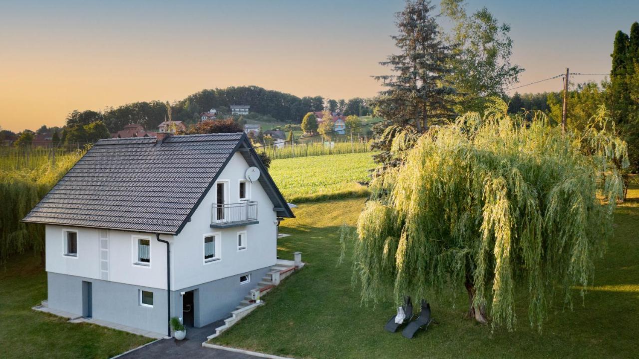Ferienhaus Treissmann An Der Weinstrasse ロイトシャッハ エクステリア 写真