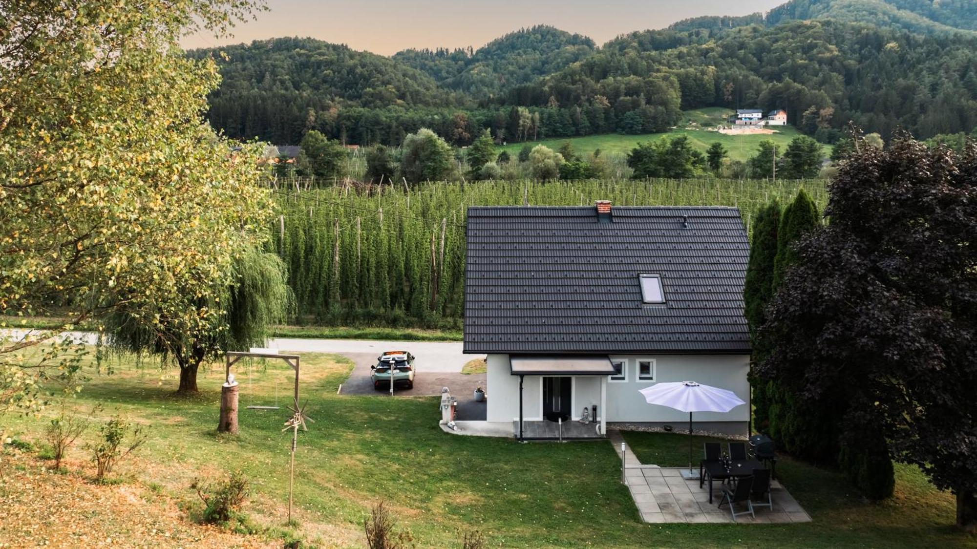 Ferienhaus Treissmann An Der Weinstrasse ロイトシャッハ エクステリア 写真